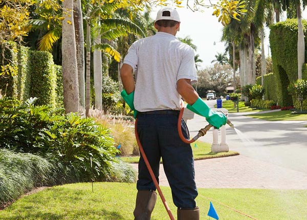 About Star Lake NY Pest Control